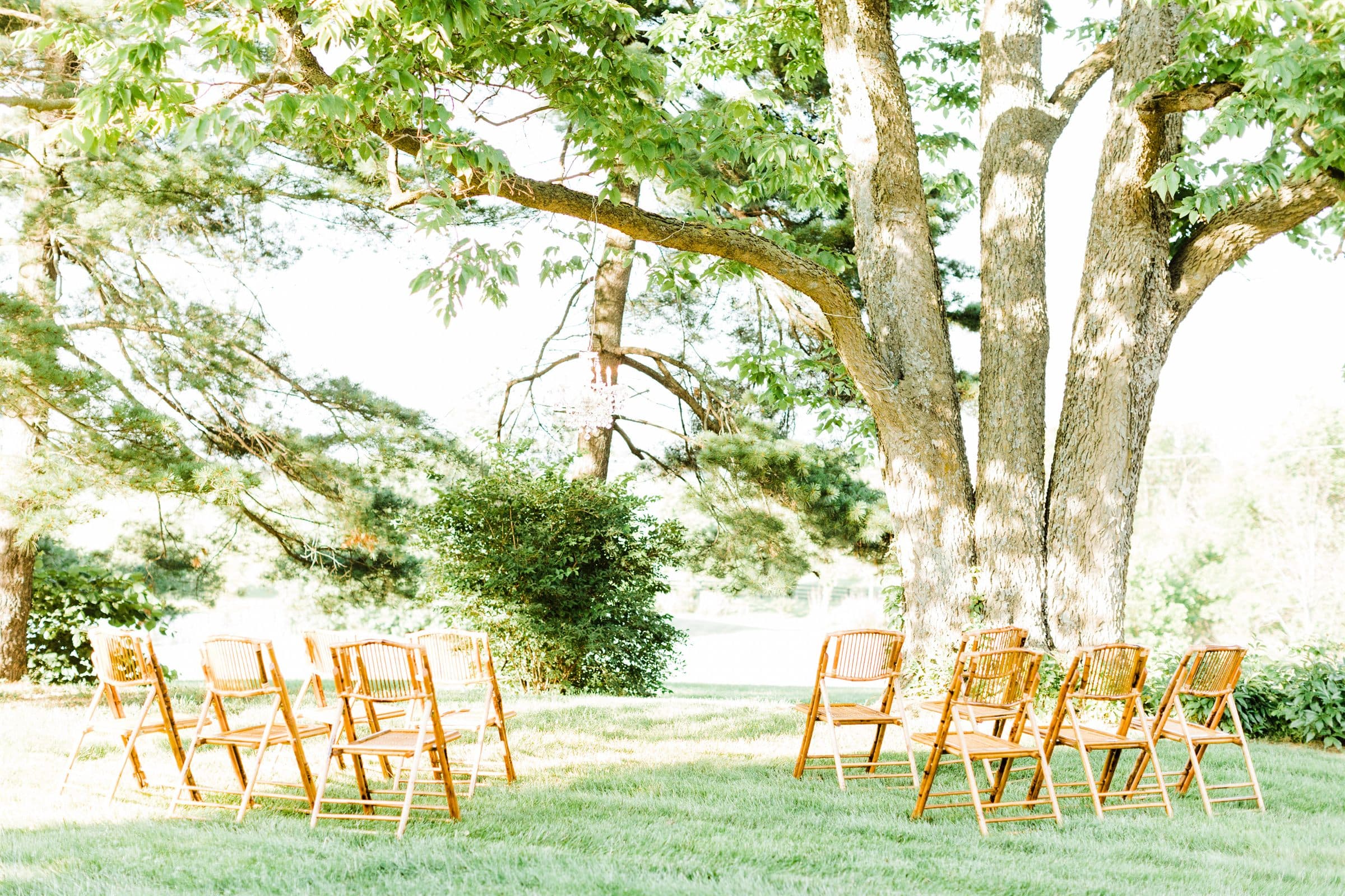 Chairs set beneath the great oak